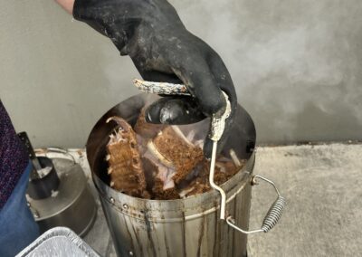 Gallery 43 Person wearing black gloves handling smoked meat in a smoker for barbecue.